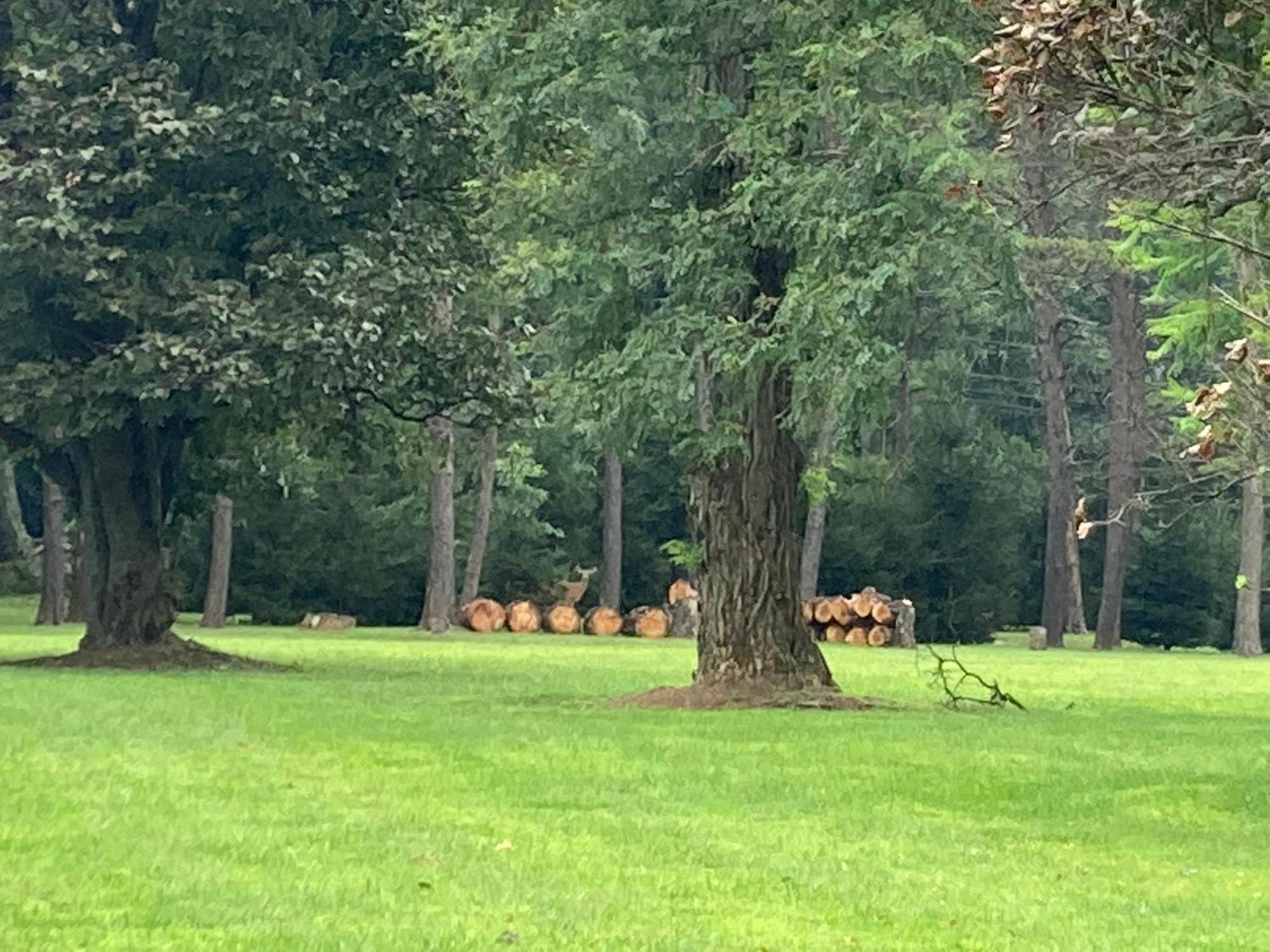 High Meadows Estate Villa Purcellville Bagian luar foto